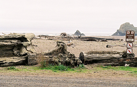 [A sign marks the area in the image as closed to camping and fires. There are tree trunks on the beachhead.]